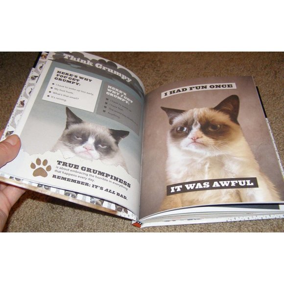 Brand NEW Grumpy Cat Hard cover book Great gag gift! - Picture 3 of 4